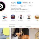 Cara Optimasi Bio Instagram Akun Kedua Untuk Sosial Media