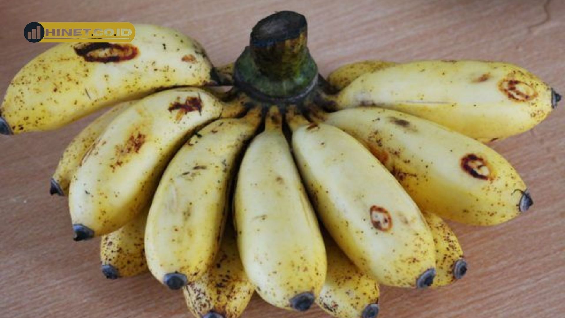 ciri ciri pisang raja