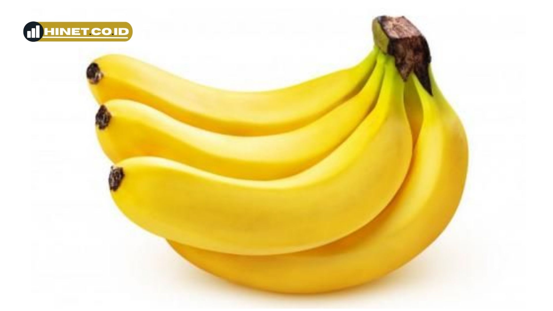 ciri ciri pisang susu