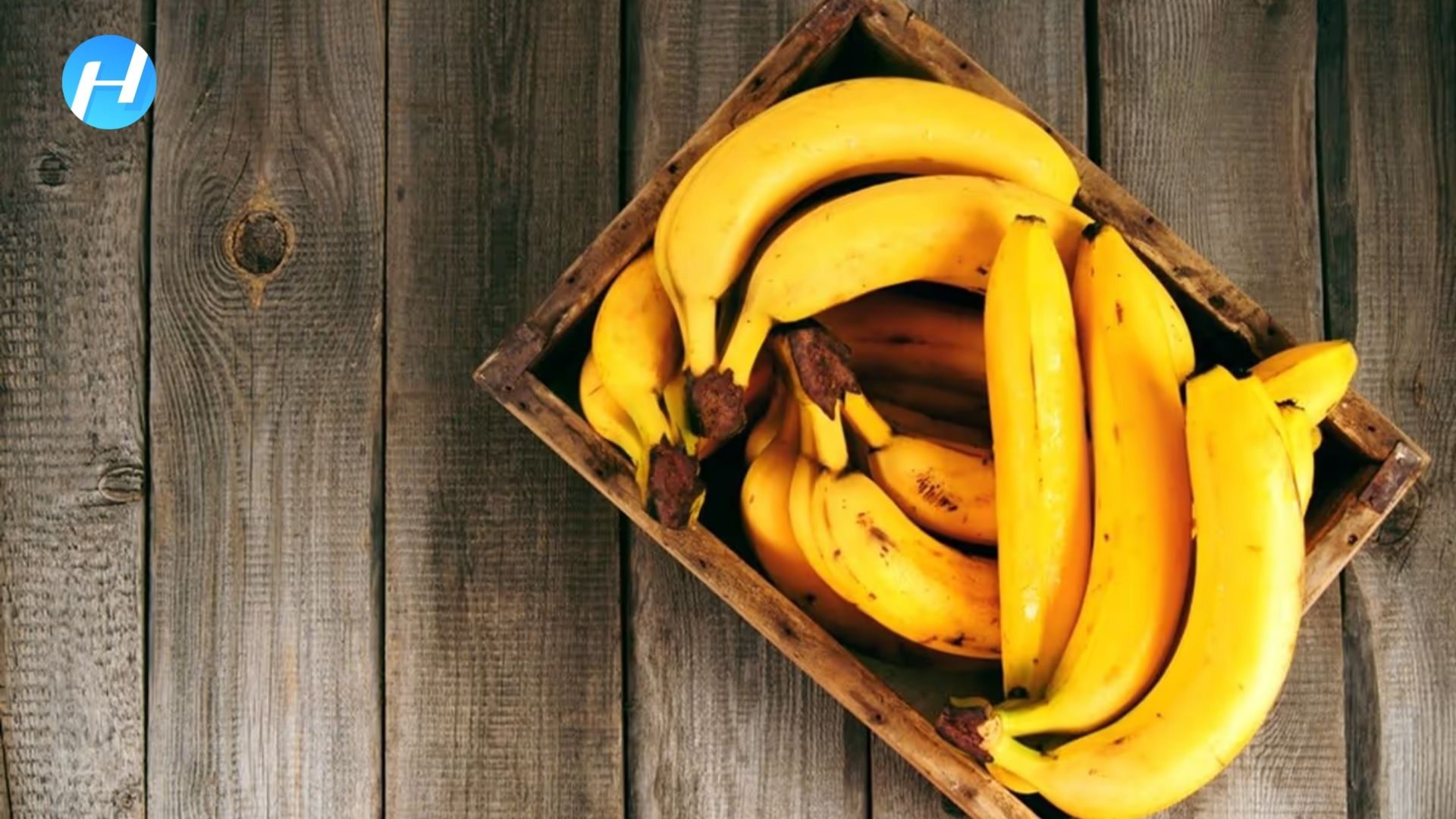 kandungan gizi buah pisang